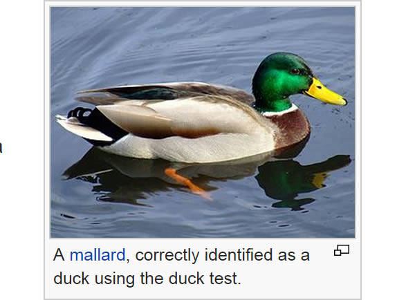 This is from the Wikipedia page on what's called the "duck test," as in "if it walks like a duck," etc., "it's a duck." It seems someone has used this as an opportunity to show how the test can be used to identify a duck as a duck. Not only has this person made an obvious claim, but it is a claim in reference to a test that references the thing about which he/she is making the obvious claim. This is such brilliant trolling it's making my head hurt. Verdict: troll, level 10.