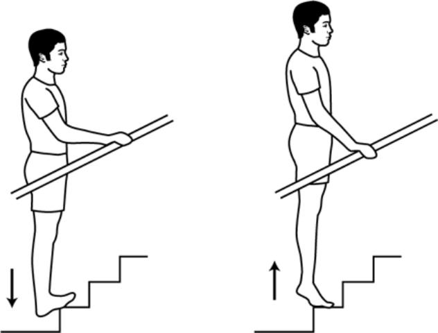 15.) Calf Raises - Calfs