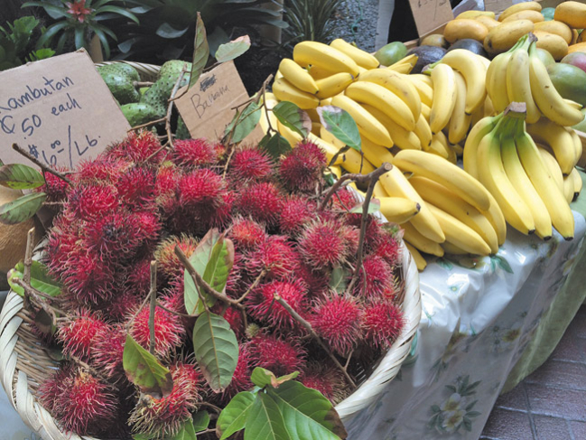 The Waikiki hopes to be able to produce enough honey to sell at local farmers markets as part of Hyatt's global campaign "Food. Thoughtfully Sourced. Carefully Served." And by careful, they mean choosing to house their bee apiary right next to the pool.