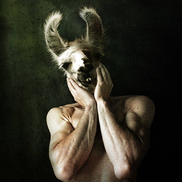 A man with the head of a llama. Yeah, this is definitely giving me the creeps.