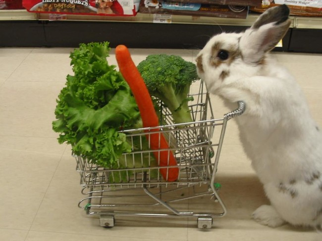 "What's next on the list? That's right, more veggies!"