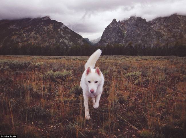 Grand Teton National Park in Wyoming