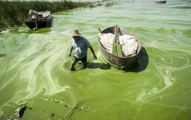 But China isn't the only one who has to deal with water pollution.