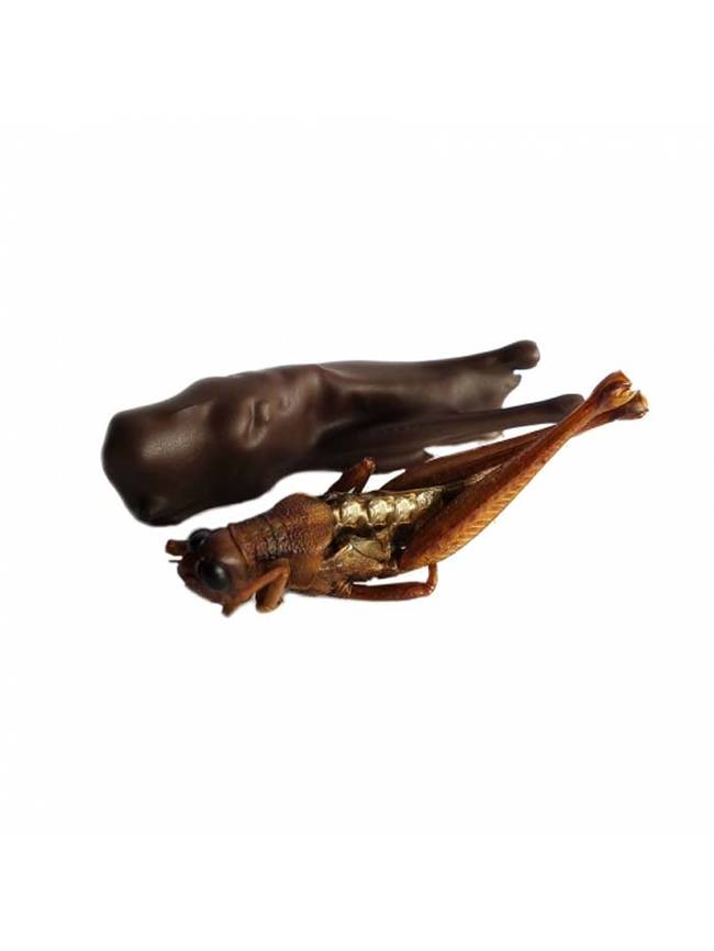 You can also get your grasshoppers in a dark chocolate variety.