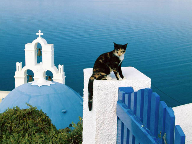 Waiting for the fun to start in Santorini.