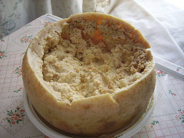 4.) Casu Marzu