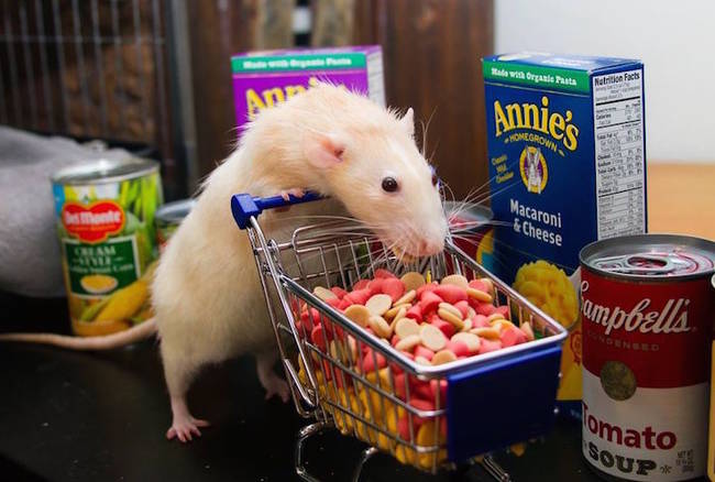 Adventures in grocery shopping. The cart is filled with yogurt drops, Marty's favorite treat.