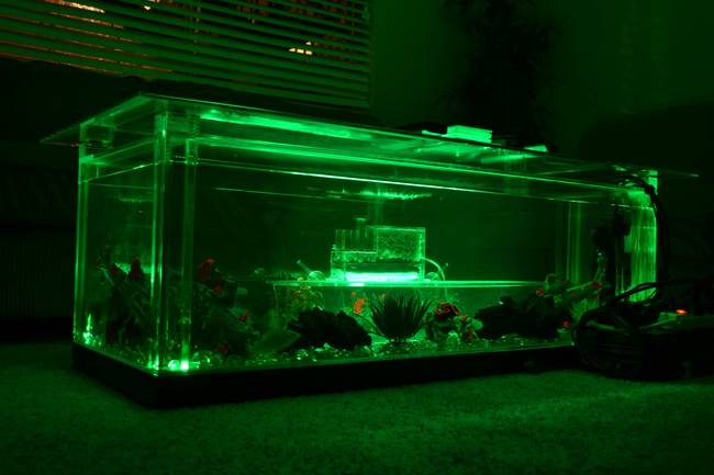 The LEDs can be adjusted to a wide range of colors, and the way the lights glow through the water is really beautiful.