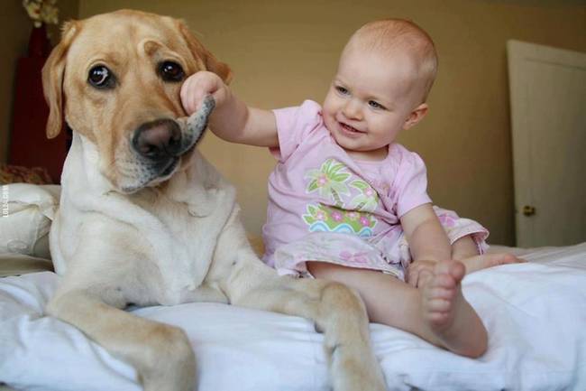 "You really should floss more, Mr. Dog."