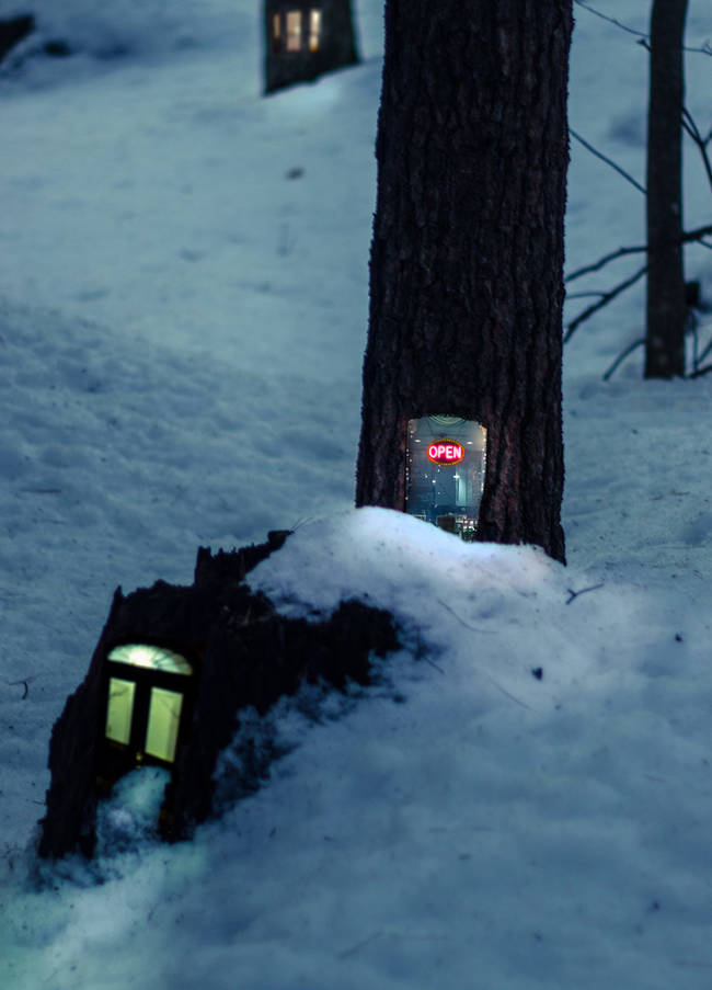 The pictures invite you to imagine what kinds of creatures might be inside these trees.