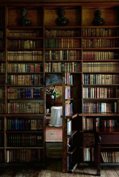 Massive Library Door