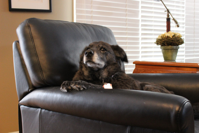 "Lay down on the couch and tell me all about it."