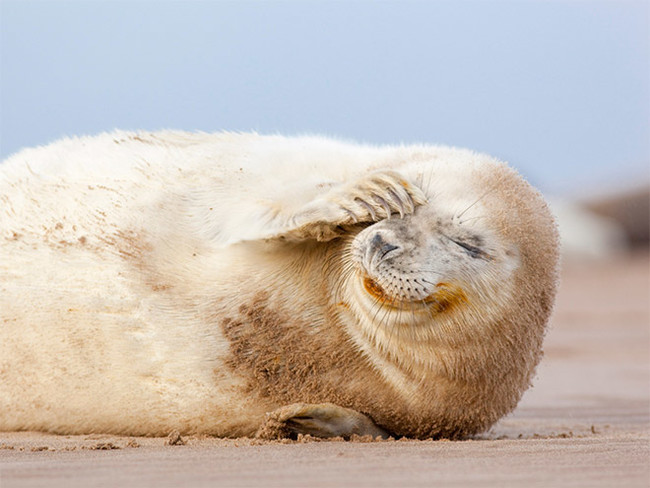 "Haha! Not a yo momma joke, Ted."