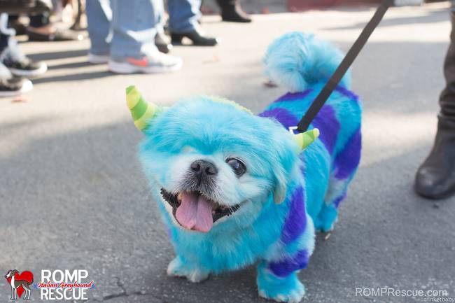 Sully from <i>Monsters, Inc.</i> does have the benefit of the addition of horns, but the blue looks great on the white fur.