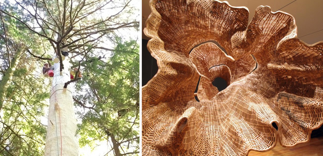 Grade and his team made plaster casts of a 140-year-old hemlock. The casts went some 90 feet up the trunk, and stopped before the limbs branched out. The tree was not harmed in any way. On the right is the completed, hollow sculpture.