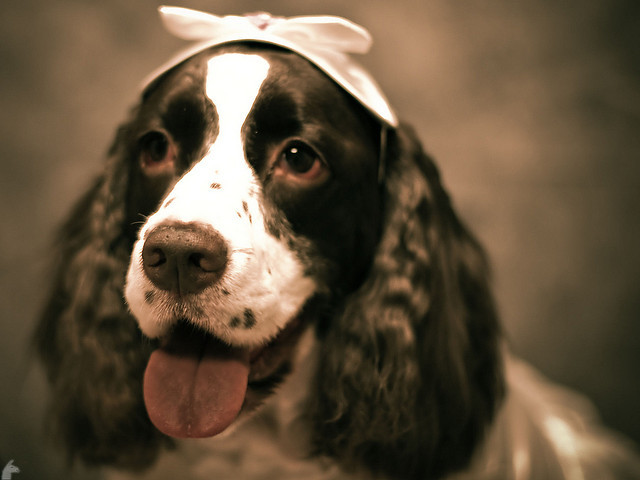 A cute little bow to match mom's = perfection.