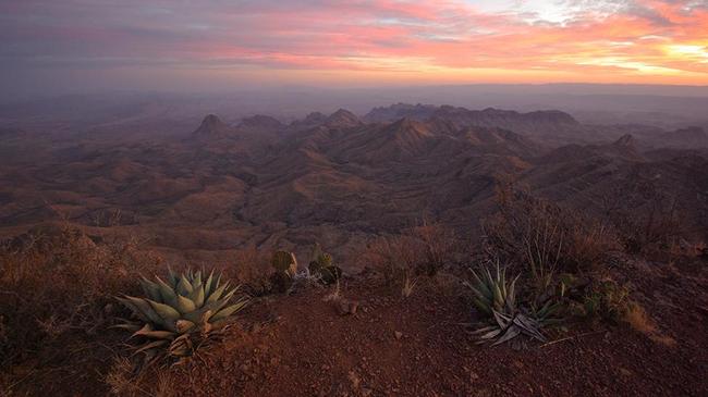 15.) Mexico and its desert is super dangerous. Visit the Chuihuahuan desert in New Mexico and save your head.