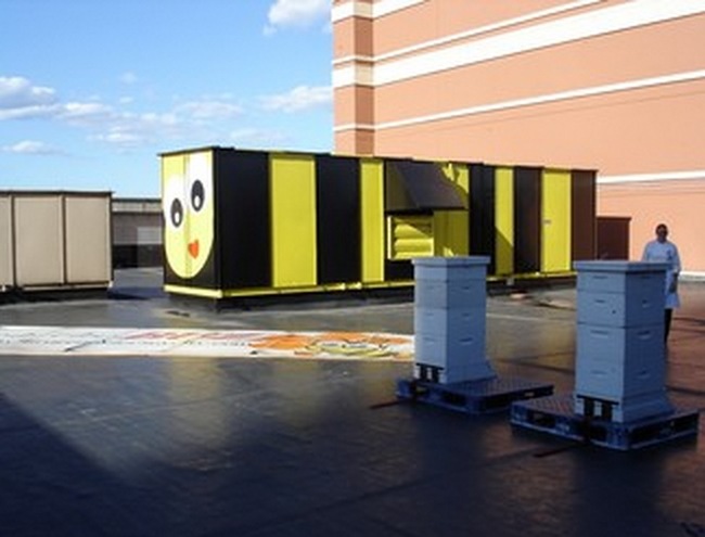 Here is the home for the bees in the Hyatt location in New Jersey which has a similar bee program. As if there weren't enough reasons not to vacation in New Jersey, AMIRITE?