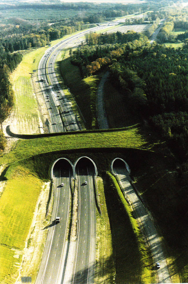 Animal Crossing Bridge, Netherlands