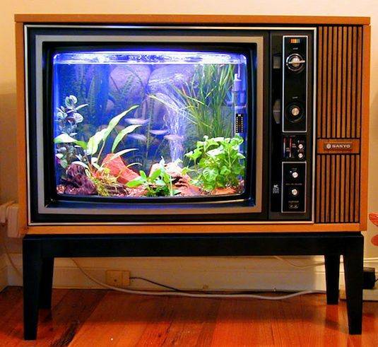 Replace an old TV with a new fish tank.