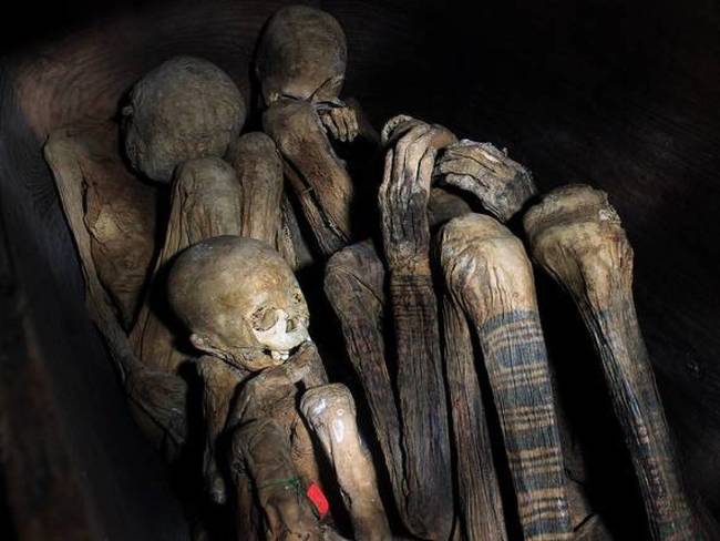 Fire Mummy Tattooed Limbs from the Phillipines