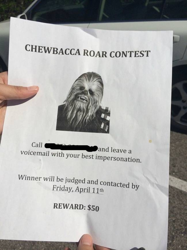 19.) May the best Wookiee win.