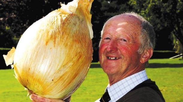 The world's largest onion, weighing 18 lb., 1 oz., was grown by Peter Glazebrook. Glazebrook also grew the largest parsnip, beetroot, and heaviest potato.