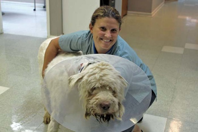 Here he is with his vet, Dr. Lea Button from the Valley Veterinary Clinic in Carleton Place, Ontario.