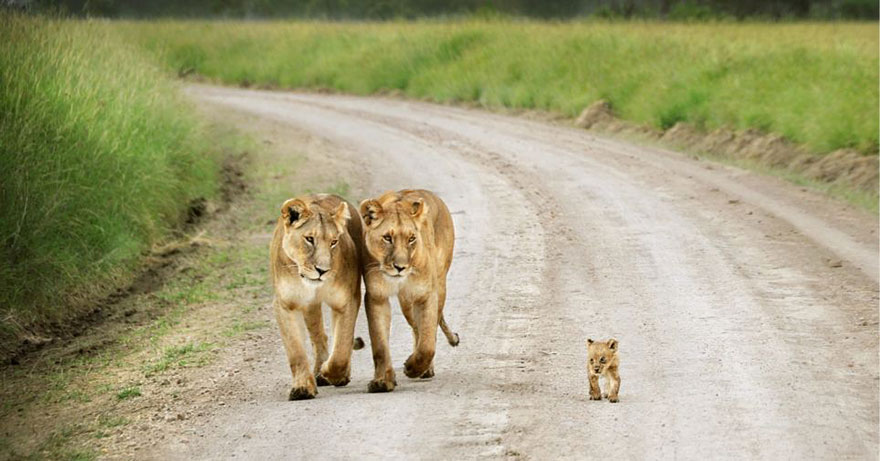 3.) They seem so proud of their little one.