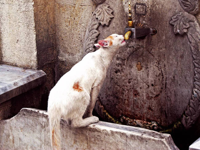 Grabbing a sip in Karakoy.