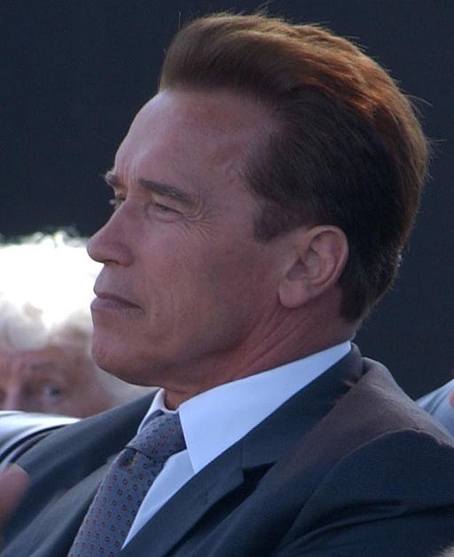 7.) Arnold Schwarzenegger