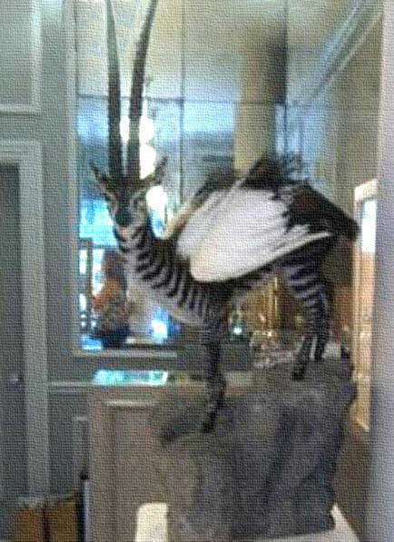 Winged Antelope