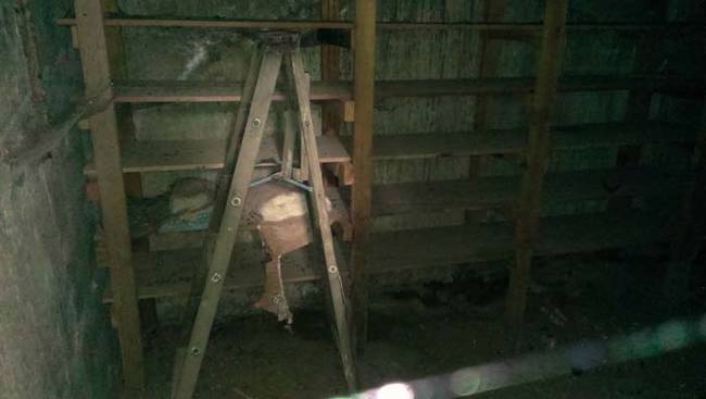 An abandoned ladder and empty shelves. The basement was also covered in spider webs.