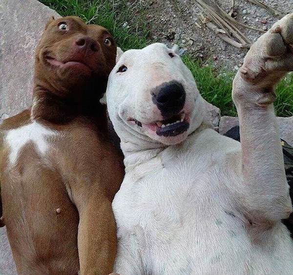 7.) The "Buddy" Selfie