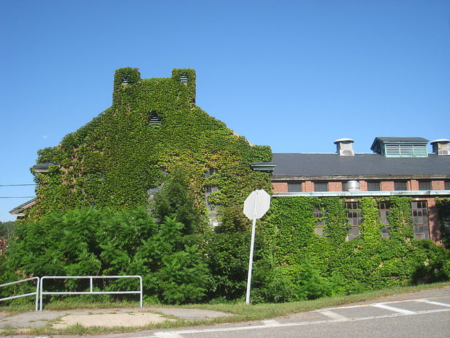 5.) The Fernald State School in Massachusetts was originally called the "Massachusetts School for Idiotic Children" and even though they changed the name, it was clear what its superintendent thought of the boys who were treated here, beating them, allowing workers sexually abuse them and even at one point feeding them Quaker Oats laced with radiation.