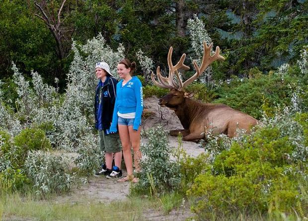 4. Ultimate photobomb potential?