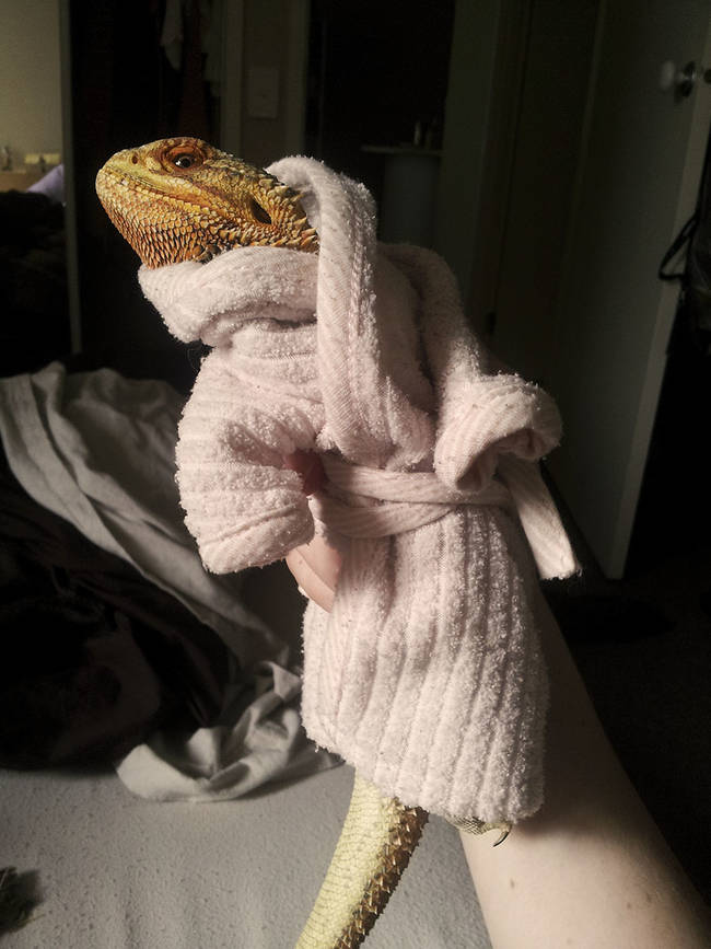 Looking stunning in his bathrobe.