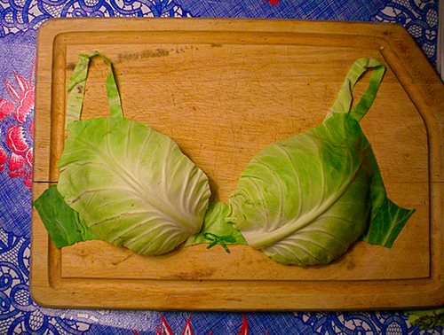 14.) Lettuce Bras