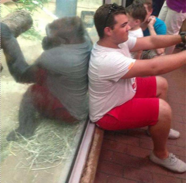 16.) Hey, that gorilla totally copied his outfit.