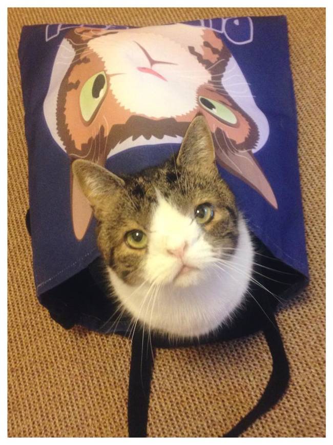 Oh, you know, just casually hanging out in a bag with his own famous face on it.