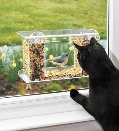 Window Bird Feeder