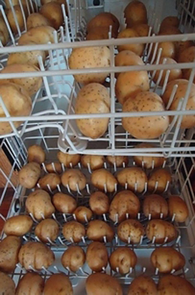 Wash your potatoes in the dishwasher. (Just be sure to skip the soap).