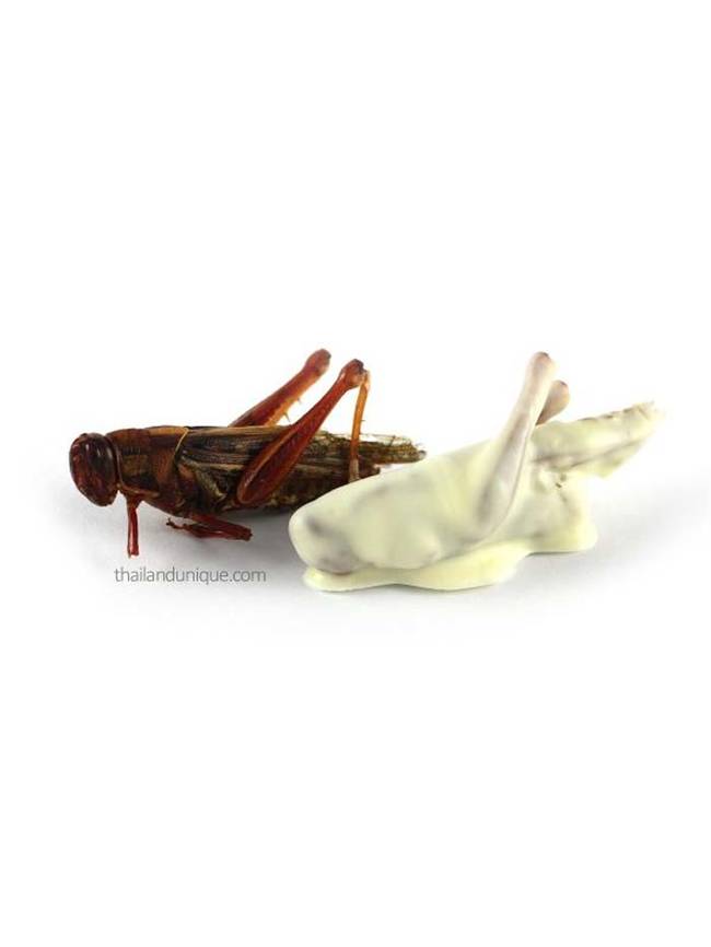 Those delicious grasshoppers also come in a white chocolate variety.