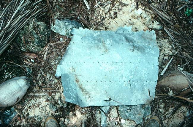 This fragment of Earhart's airplane might be the first step in finding out what really happen to the plane.