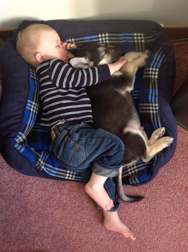 Sharing his bed with his best buddy.