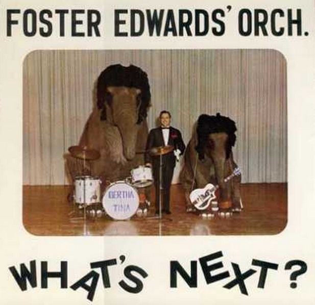 This album cover would only be bad if Foster Edwards' orchestra doesn't actually include a backing band of two elephants with heads lush with human hair.