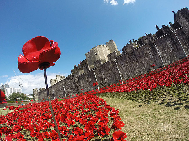 For the past few weeks, a team of 150 volunteers has been placing red ceramic poppies one by one around the Tower.