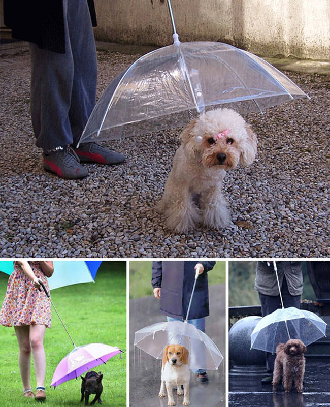 <a href="https://www.awesomeinventions.com/shop/pet-umbrella/" target="_blank">Pet Umbrella</a>