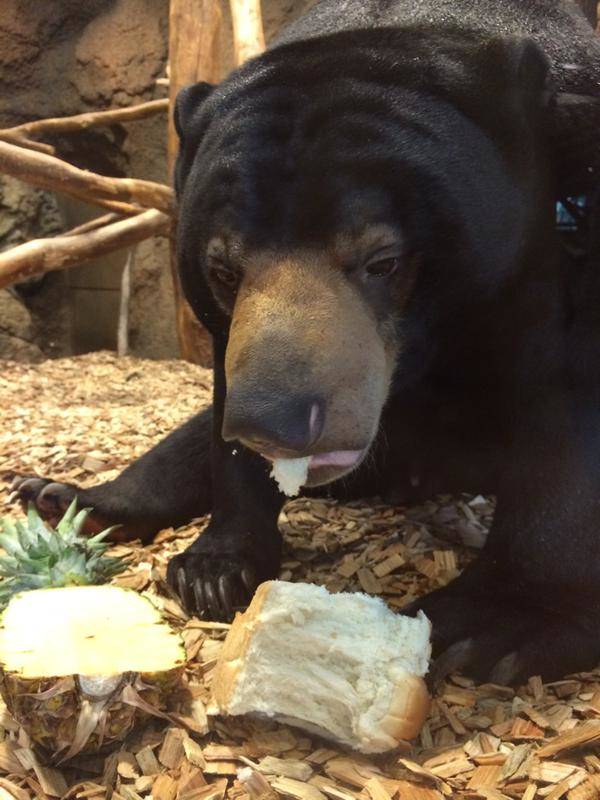 "I looooveee bread."