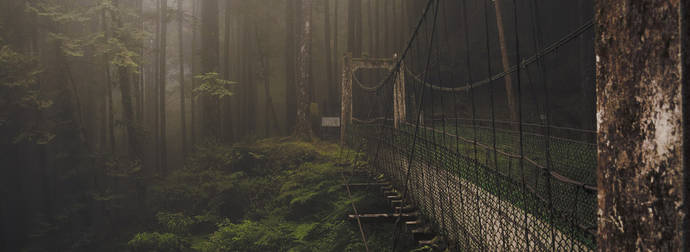 Here Are 30 Gorgeous Bridges That Are Making The World A Little More Magical.